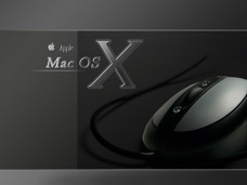 apple_104.jpg