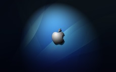 apple_491.jpg